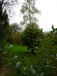 Ansicht Grundstueck